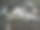 捕获鲻鱼图片下载