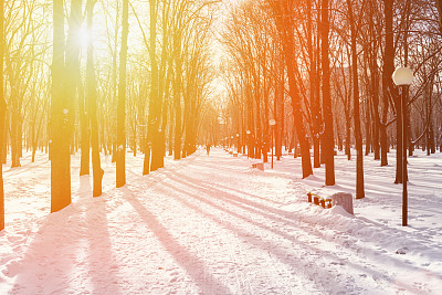 美丽的冬季小巷图片下载