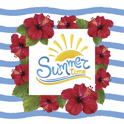 夏季和木槿图片下载