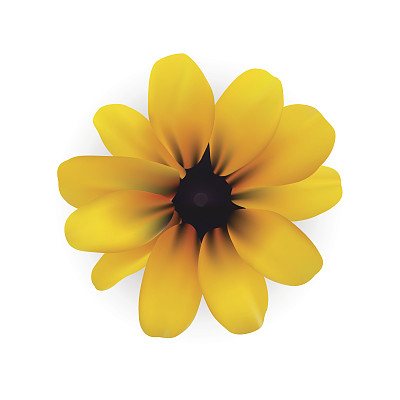 黄花向量图片下载