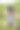 小女孩戴着虚拟现实眼镜在户外玩游戏图片下载