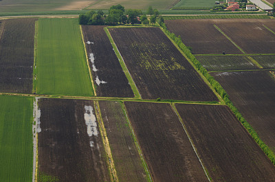 几何领域图片下载