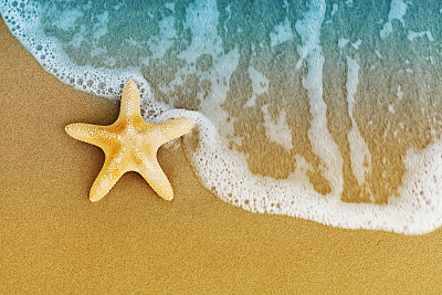 潮后沙滩上有海星或海星。平的风格。素材图片