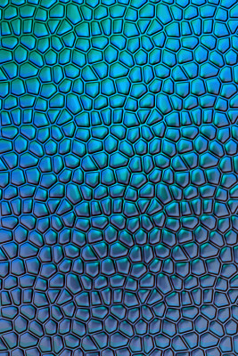 闪亮的马赛克图片下载