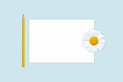 白色的纸孤立的蓝色背景与复制空间为您的广告或促销文字。铅笔，复印纸和甘菊。设计、创意和教育理念。图片下载