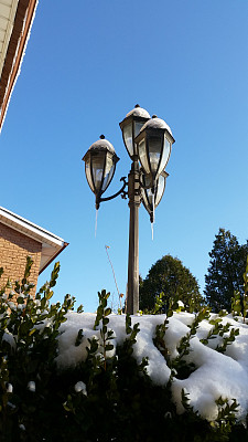 冰封灯柱图片下载