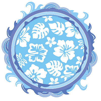 波丸 ハイビス 丸图片下载