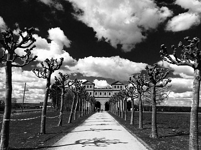 有树木的罗马大门，还有黑白相间的神奇云彩图片下载