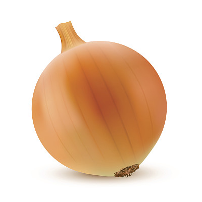 白色背景上的洋葱。矢量图图片下载