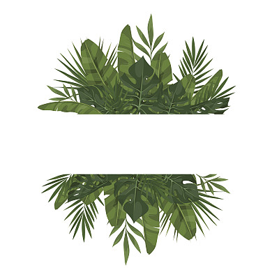 叶子模板图片下载