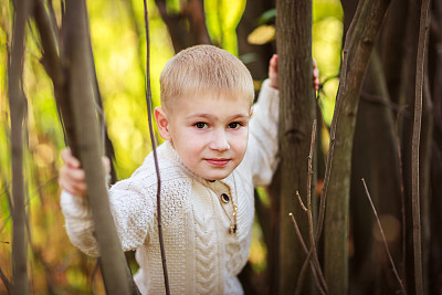 小男孩在树枝间玩耍图片下载