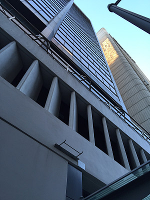 高样式悉尼图片下载