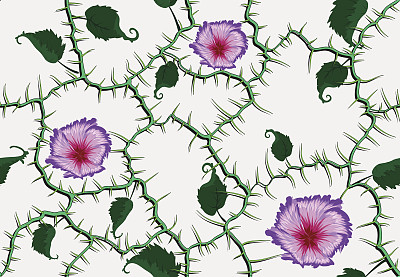 花枝无缝图案图片下载