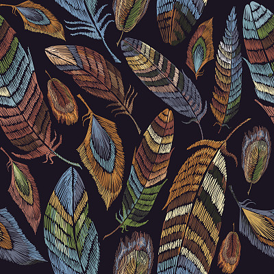 彩色羽毛刺绣无缝图案。美丽的热带鸟类羽毛经典刺绣无缝背景。时尚的服装模板设计，t恤设计素材图片