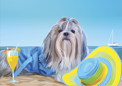 狮子狗度假图片下载