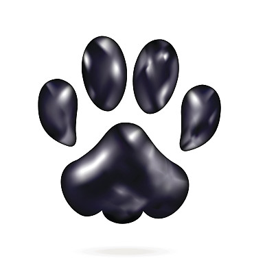 黑猫的脚印孤立在白色上图片下载