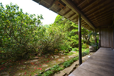 花园边回家图片下载