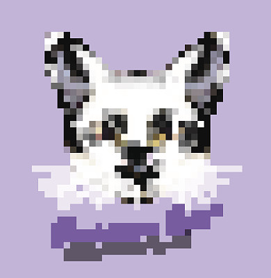 矢量插图肖像缅甸猫。图片下载