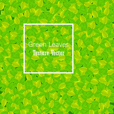 绿叶纹理背景矢量图片下载