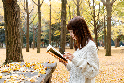 阅读在秋天图片下载
