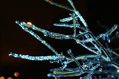 夜间照片的蓝色自行车结冰的树枝图片下载
