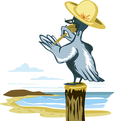 鹈鹕鸟抛光处理指甲翅膀指甲树干海滩图片下载