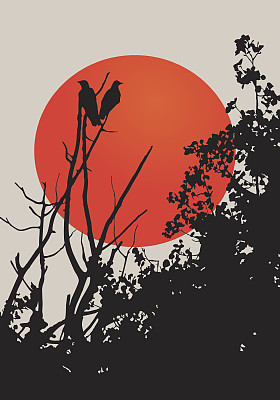 С行上树图片下载