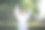 可爱的亚洲孩子在训练空手道在夏季户外白色和服图片下载