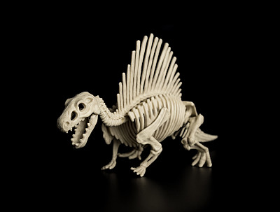 黑色背景上的棘龙骨架图片下载