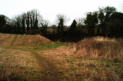 斯莱德藏红花瓦尔登2017图片下载