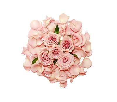 美丽的玫瑰花蕾，飘落的花瓣，浪漫的俯视图背景。图片下载