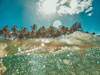 水下图片素材ID：168877186