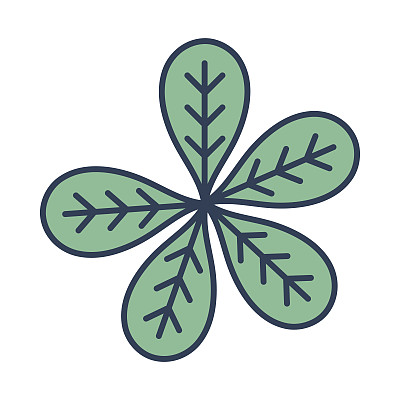 植物学叶片是生态关怀的象征图片下载