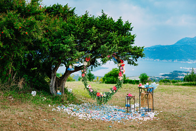 用鲜花和橄榄枝做成的圆形婚礼拱门。挂在了图片下载