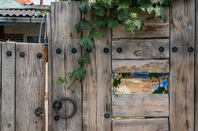 韩国房子上的木门图片下载