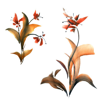 花卉元素集图片下载