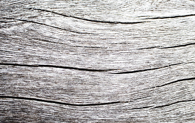 木纹特写照片。带有风化裂纹线条的白色木板。图片下载