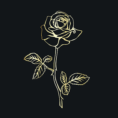 玫瑰草图图片下载