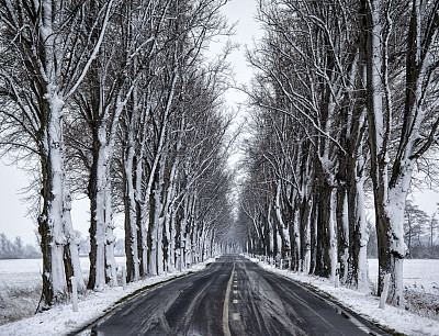 冬天的道路。图片下载