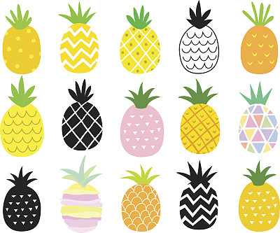 菠萝集素材图片