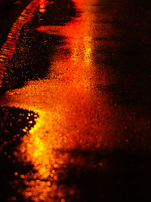 法律树图片下载