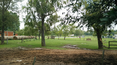 迪亚·坎波图片下载