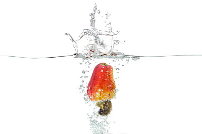 有机新鲜腰果图片下载