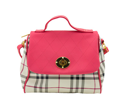 优雅的女人包孤立在白色图片下载