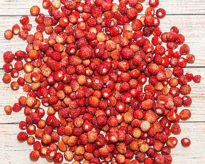 新鲜的森林草莓图片下载