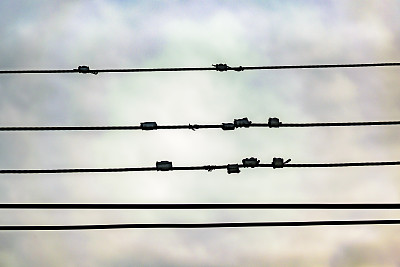 铁丝网详细视图图片下载