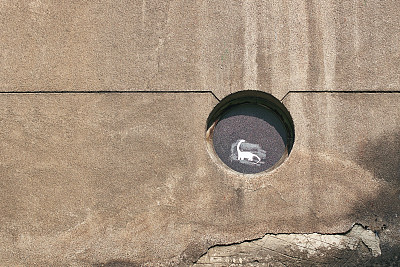 橱窗里的城市恐龙图片下载