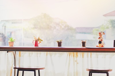 室内装饰用的小花盆图片下载