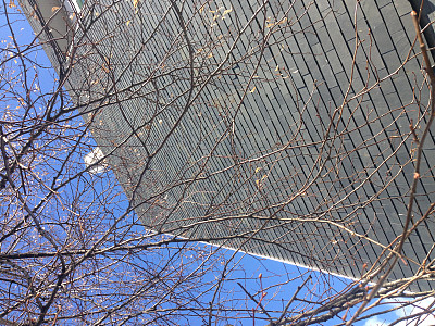 葡萄牙里斯本图片下载