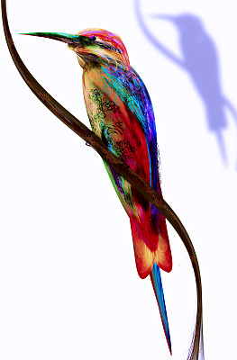 抽象的色彩斑斓的鸟。食蜂鸟图片下载